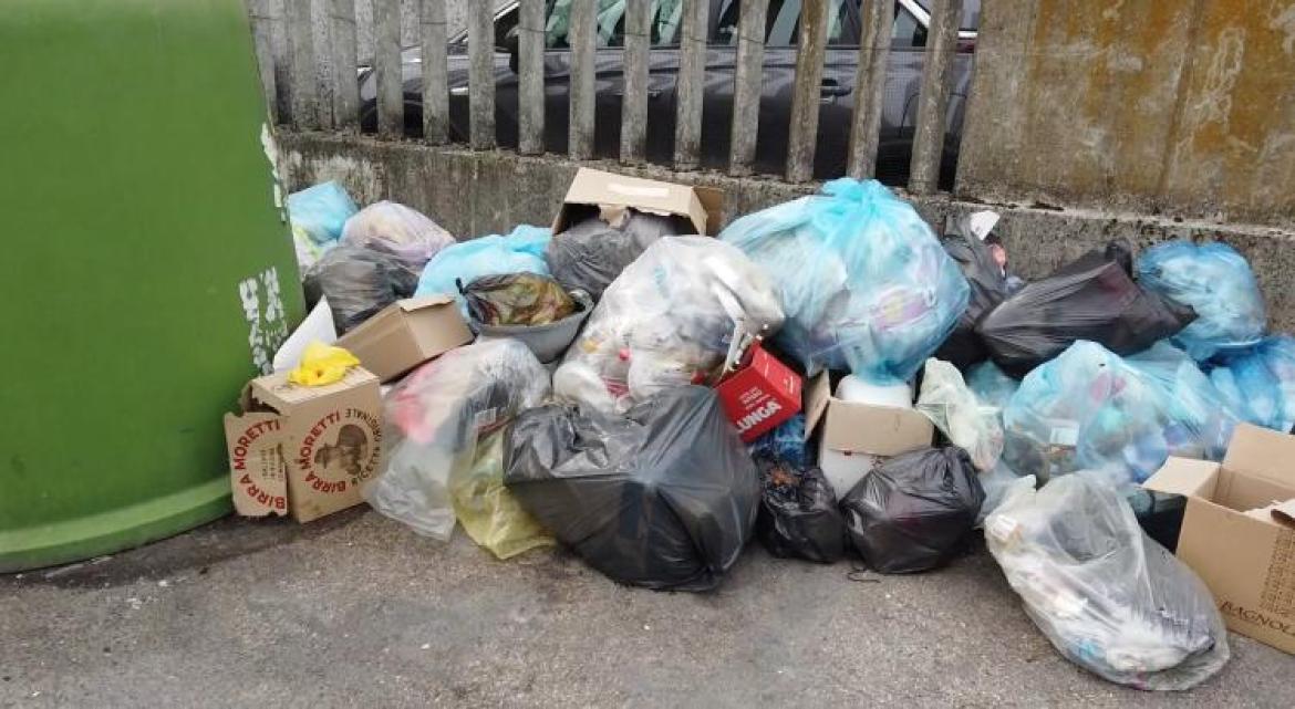 Vigevano, la città poco "ducale": ecco lo stato dei rifiuti