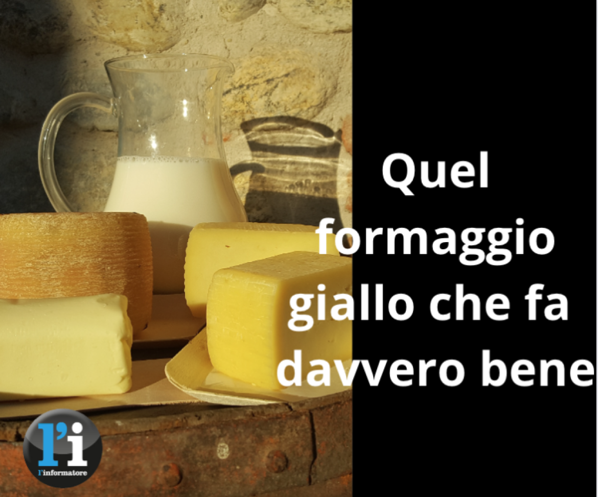 Il Parco dl Ticino cerca caseifici per la produzione del formaggio giallo
