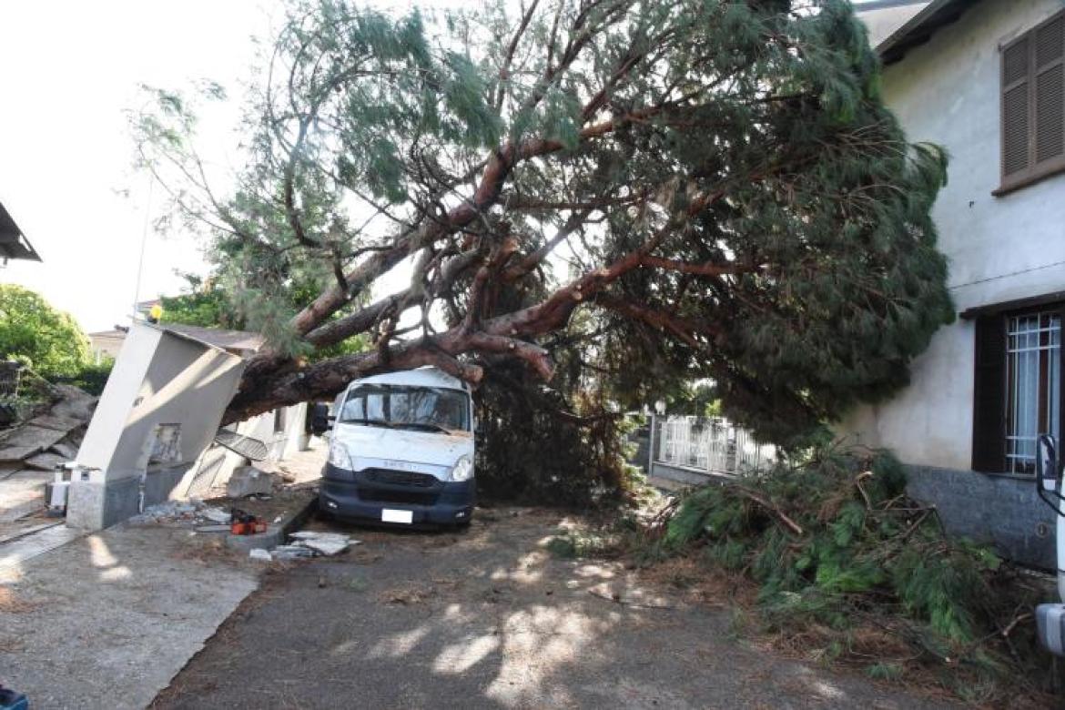 Maltempo a Vigevano: alberi caduti e danni. Gravi disagi per chi deve viaggiare in treno