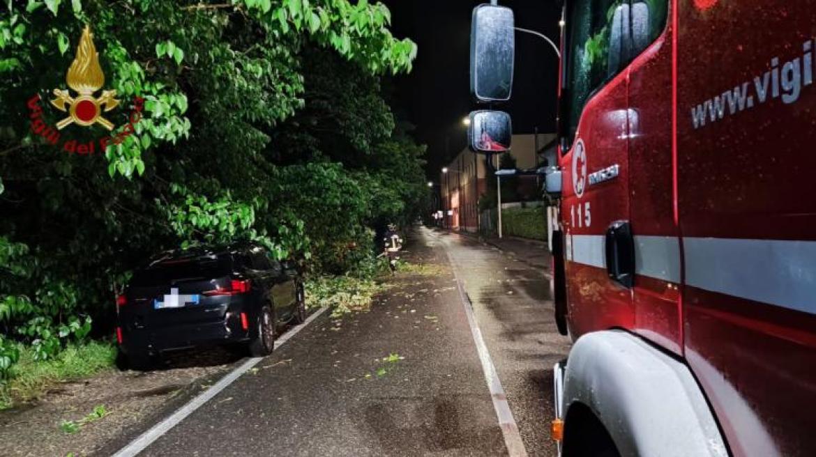 Forti temporali nella notte: alberi caduti a Pavia. Allerta in Lomellina ma nessun danno