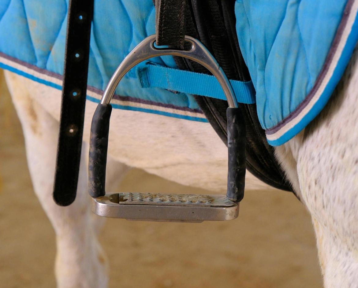 Sannazzaro, ferito al torace dal calcio di un cavallo: 38enne in ospedale
