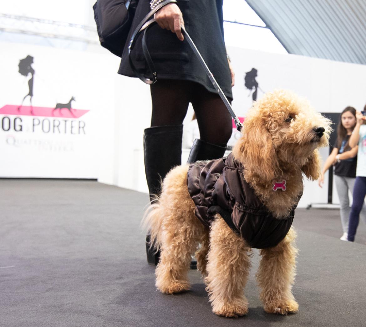 Quattrozampeinfiera: l'evento imperdibile per gli amanti degli animali