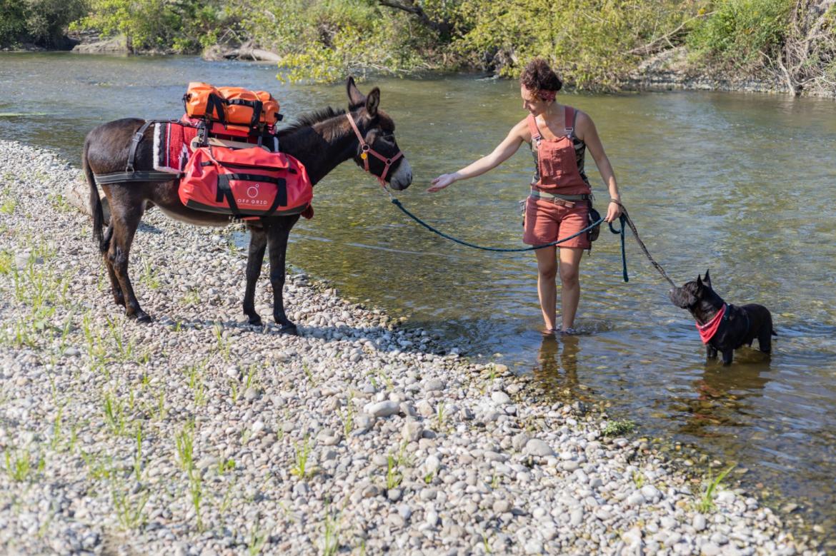 A spasso con l'asino e il cane: le fotografie dell'avventura