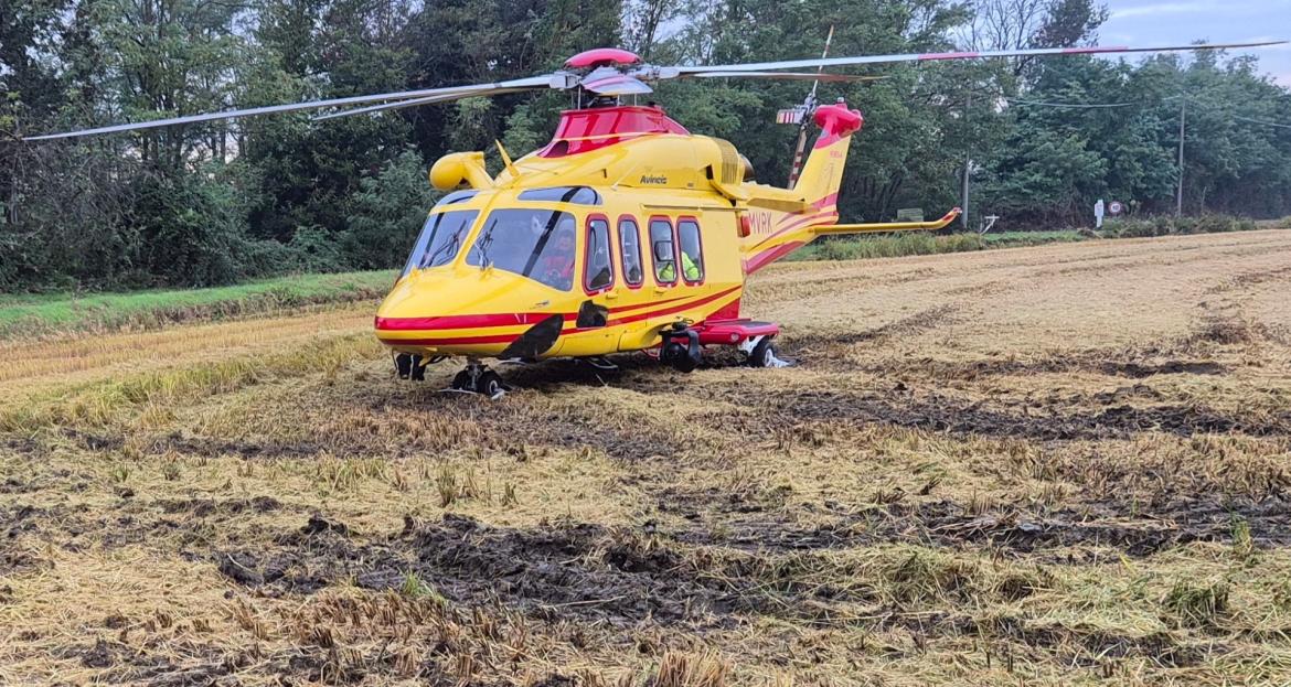 Caricato da un toro in un'azienda agricola di Abbiategrasso: è grave