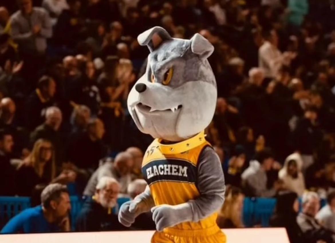 Basket, serie A2: si sceglie il nome della nuova mascotte della Elachem Vigevano
