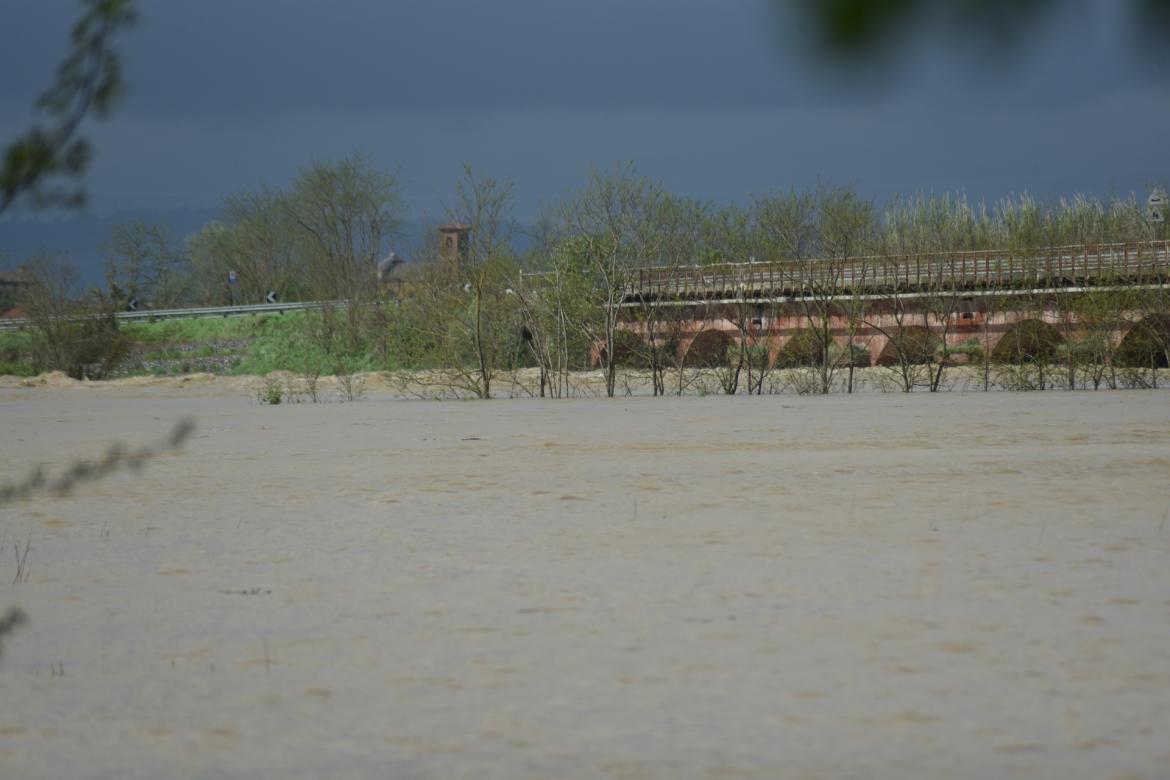 Il fiume Sesia fa paura. A Candia è già pronto un piano di evacuazione