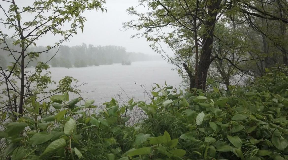 Fiume Ticino, dalle 19 scatta l’allerta rossa. In Comune a Vigevano stanno valutando la possibilità di chiudere le strade di accesso alle casotte 