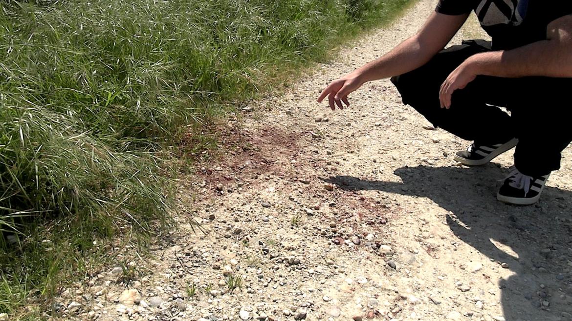 Giovane tedesco trovato morto a Zinasco: l’autopsia rafforza l’ipotesi del suicidio