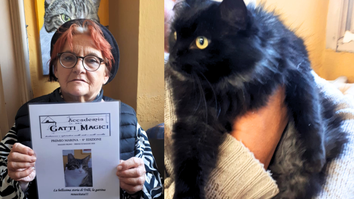 Adotta la gatta nera Trilli e riceve il premio di “gattara dell’anno”