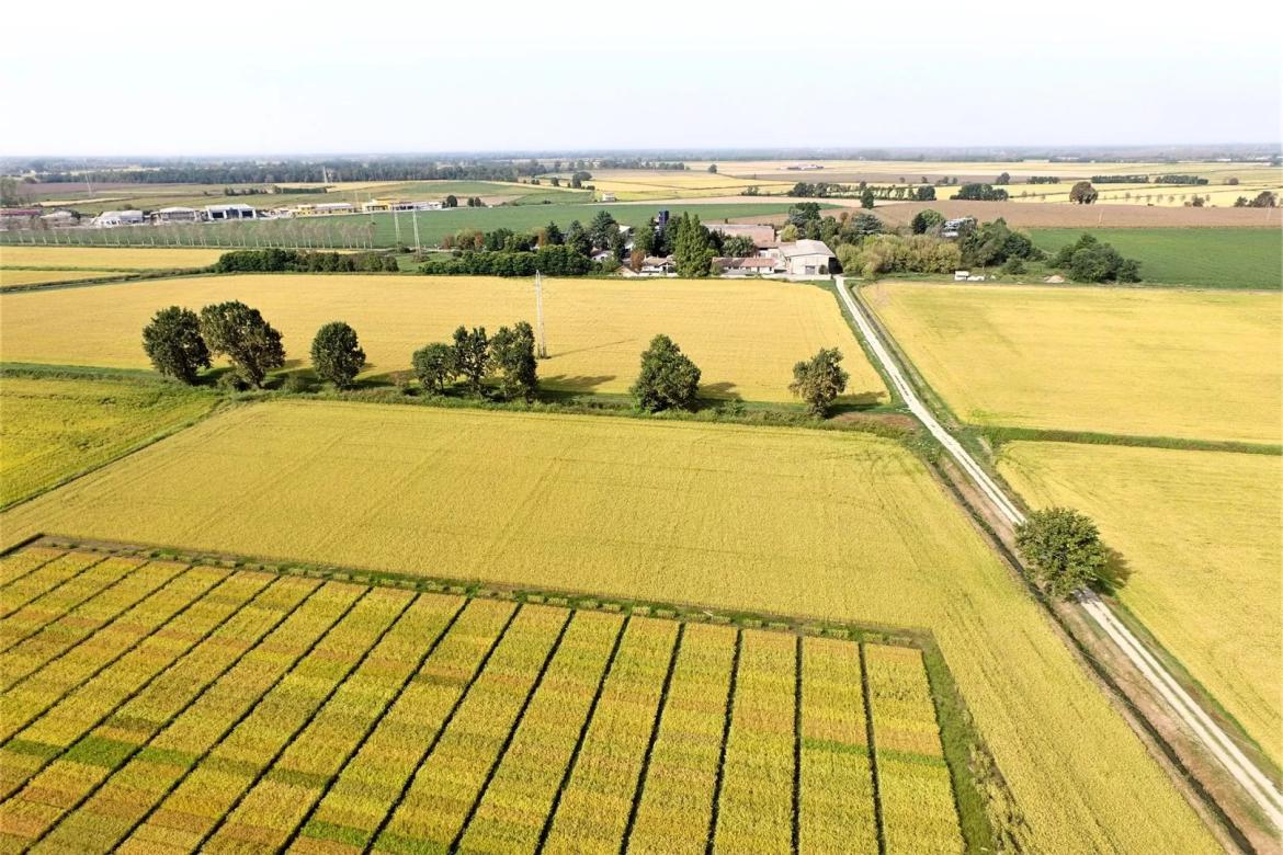 Benvenuti in Lomellina, la quarta edizione