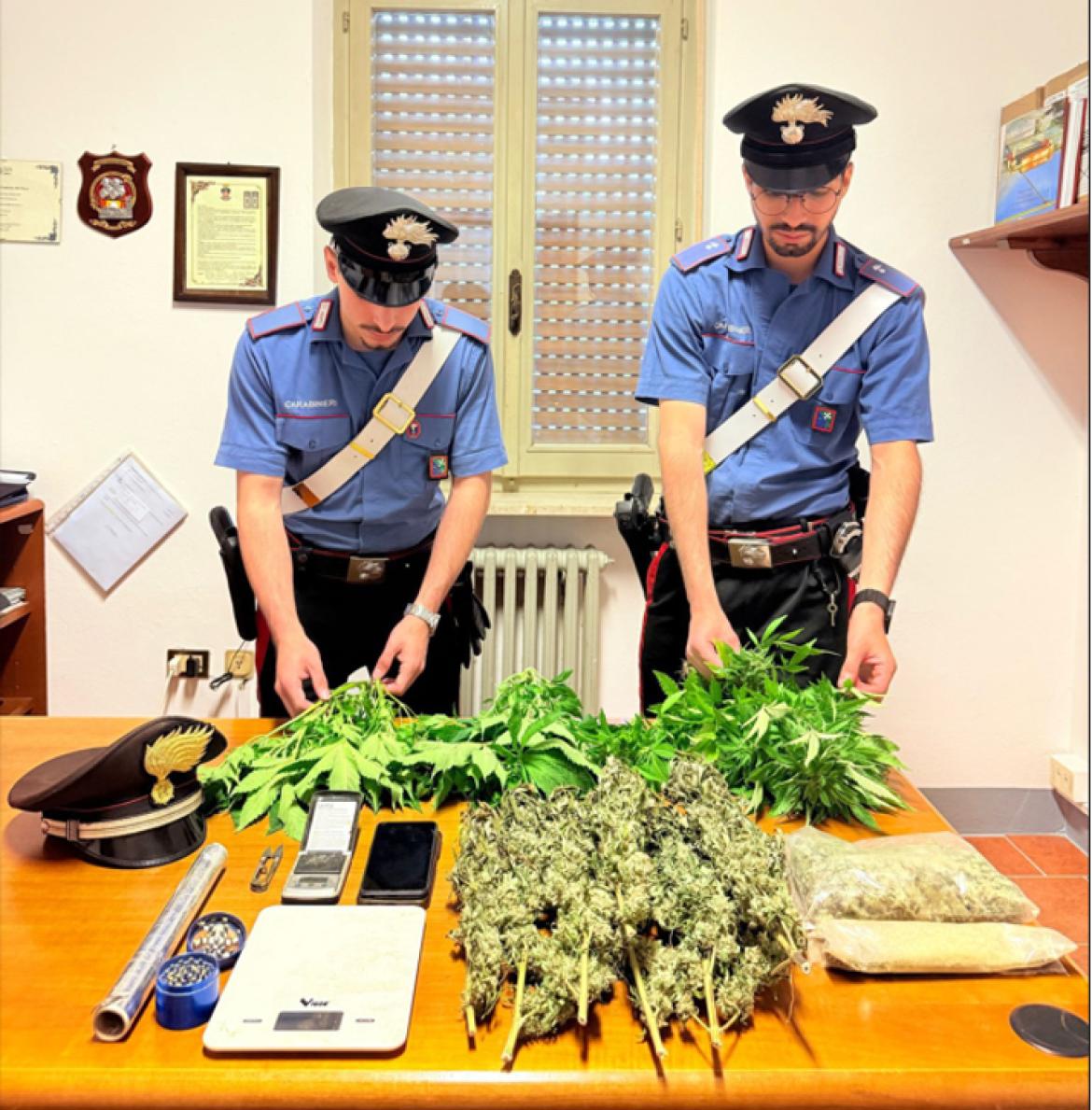 In camera da letto aveva una serra per coltivare le piante di marijuana