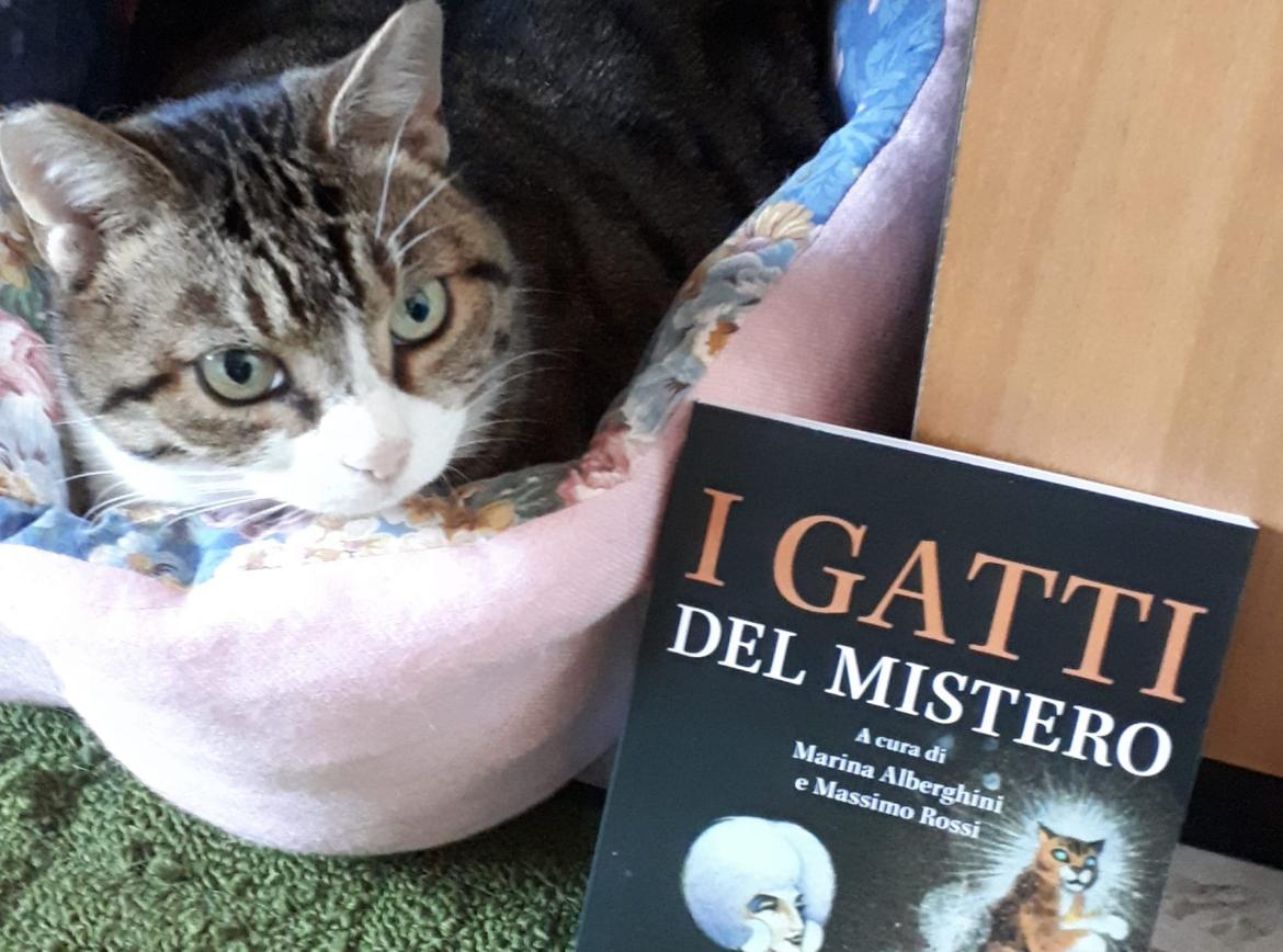 “I gatti del mistero”:  storie di felini mitici e sfuggenti