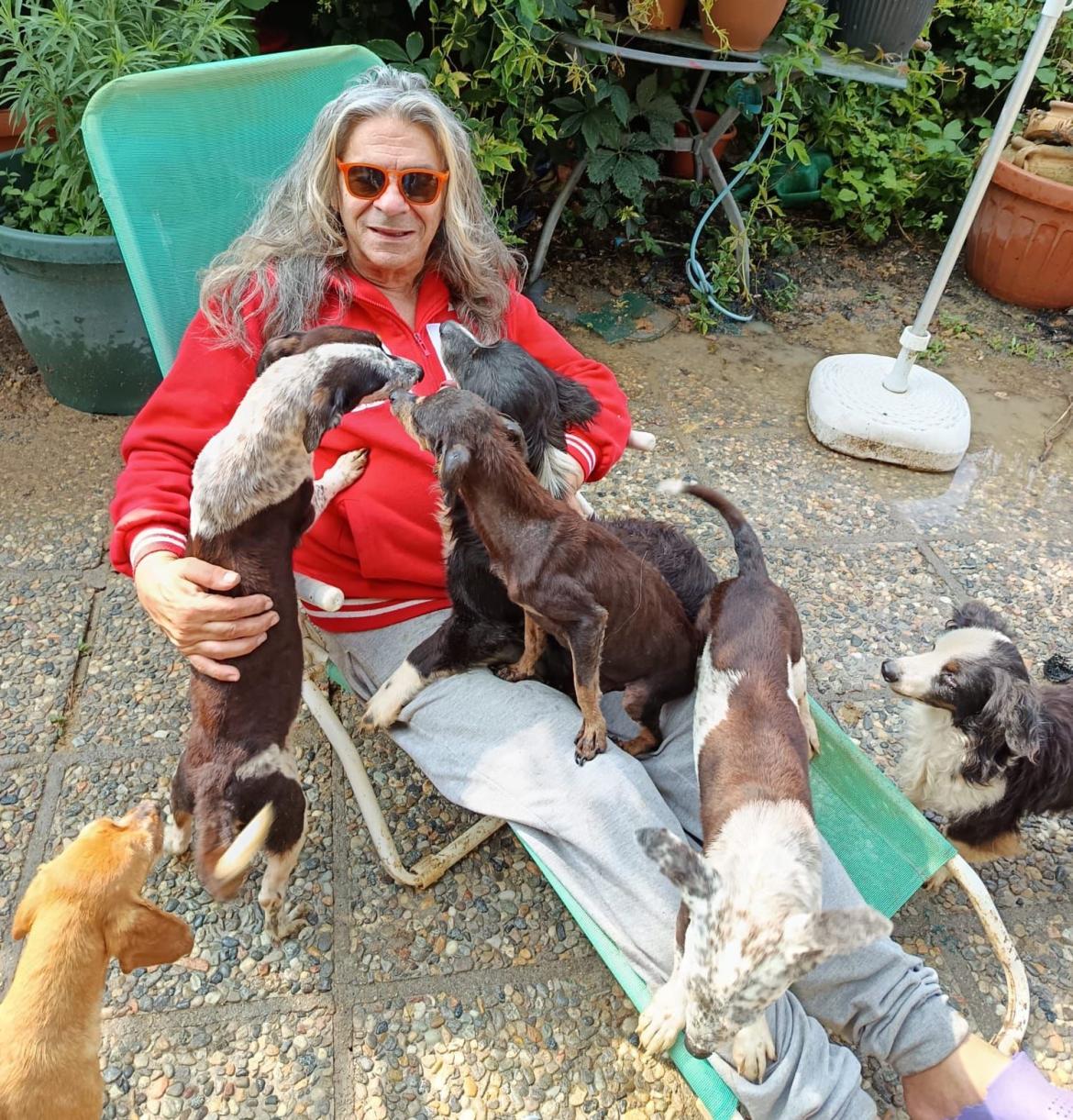 L'appello del cantante: «Una casa per me e per i miei cagnolini»