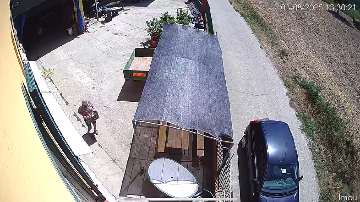 Ladro di cipolle di Breme immortalato dalle telecamere. L'appello del coltivatore: "aiutatemi a trovarlo"