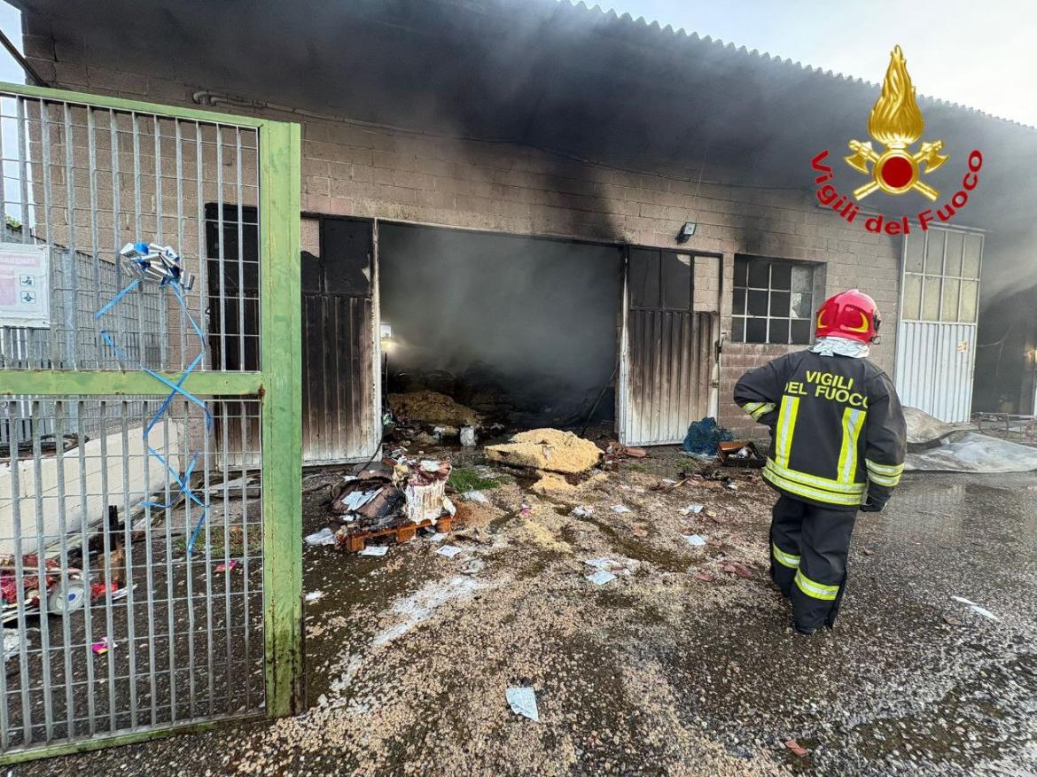 Incendio al rifugio Enpa di San Genesio: distrutte le scorte alimentari, illesi gli animali