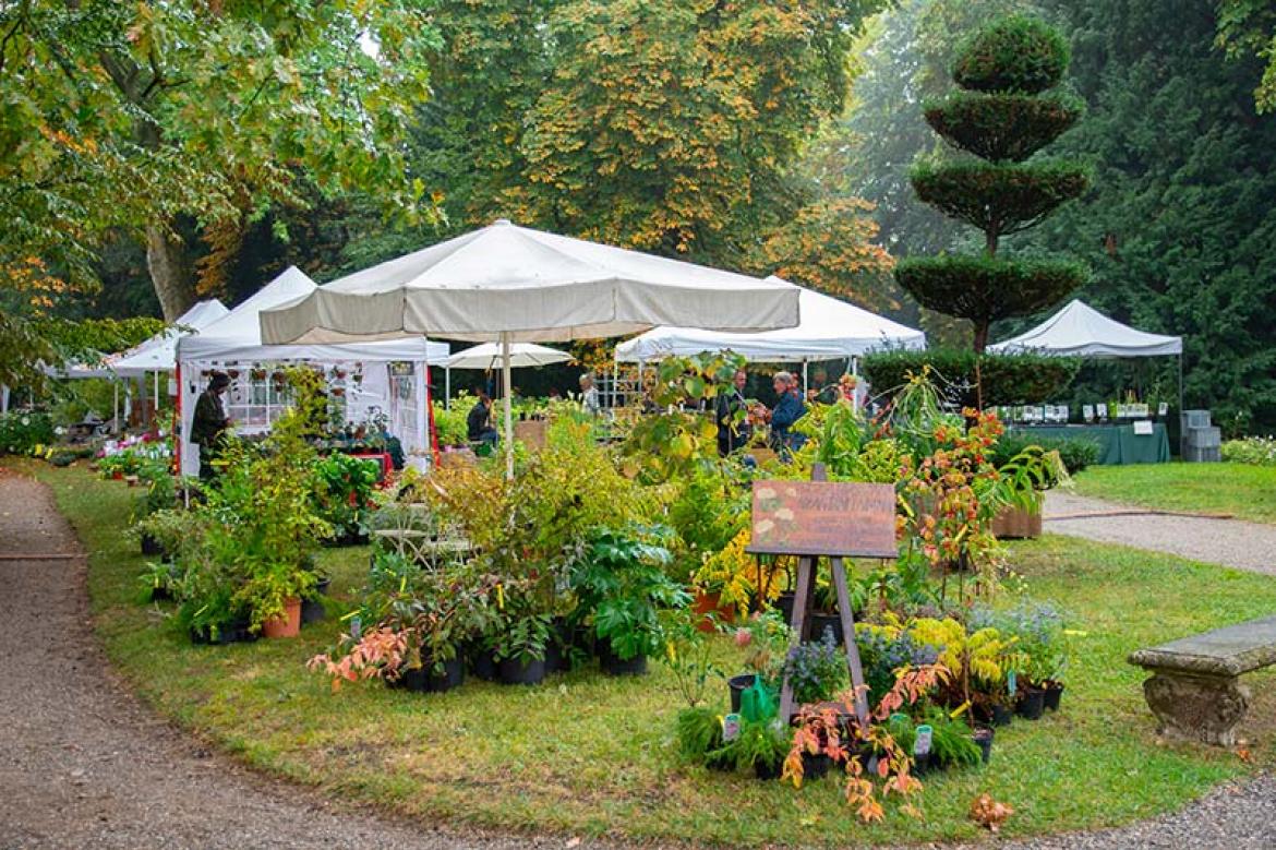 Verde Grazzano 2025: il festival del verde torna tra rarità botaniche, natura e artigianato