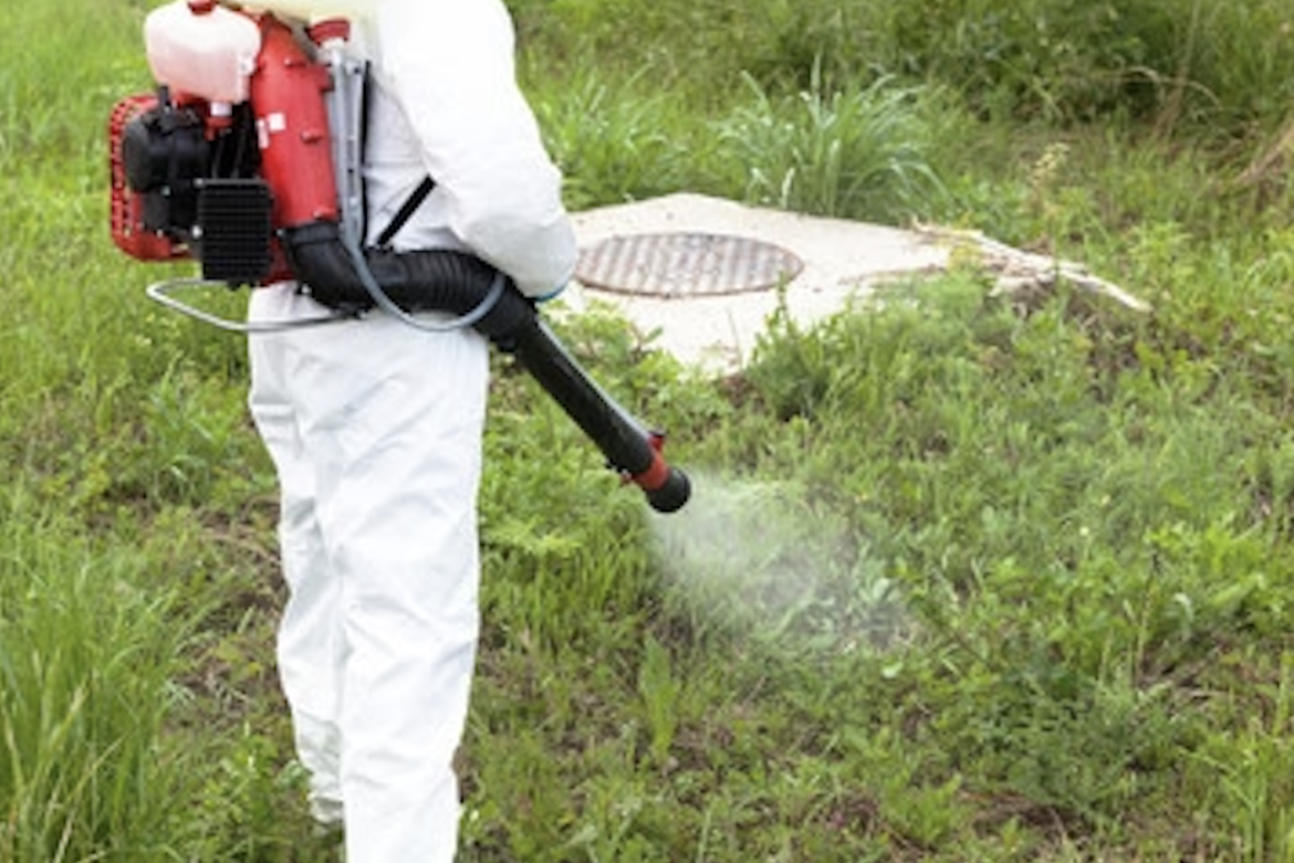 Virus West Nile, un intervento di disinfestazione a Vigevano contro le zanzare