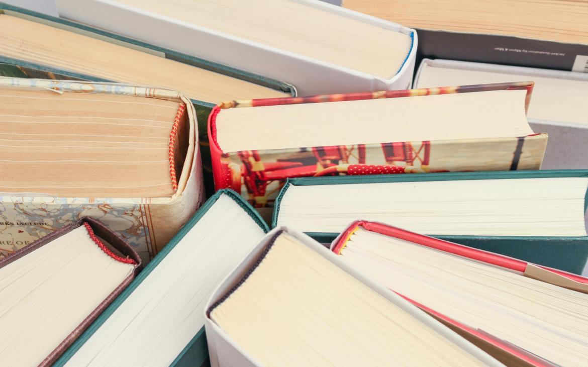 «Le casette dei libri vanno valorizzate». È polemica sui costi di manutenzione a Gambolò