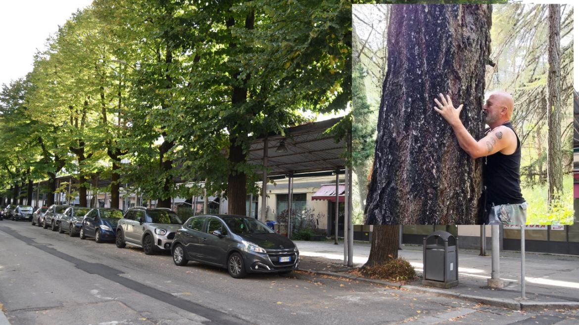 Protesta contro l'abbattimento dei tigli: l'attore Stefano Chiodaroli legge in pubblico "L'uomo che piantava gli alberi"