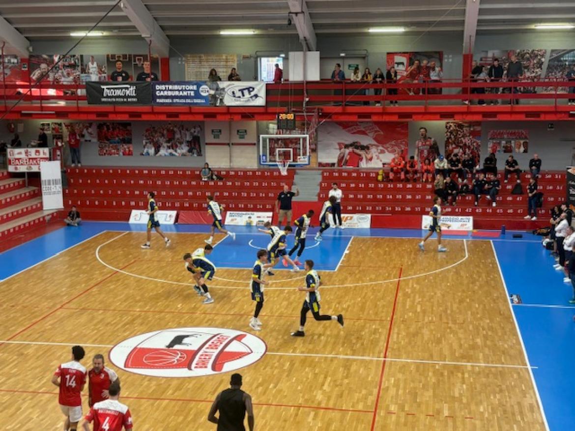 Baskrt, serie B: tra poco la Elachem Vigevano in campo a Piacenza senza Verazzo
