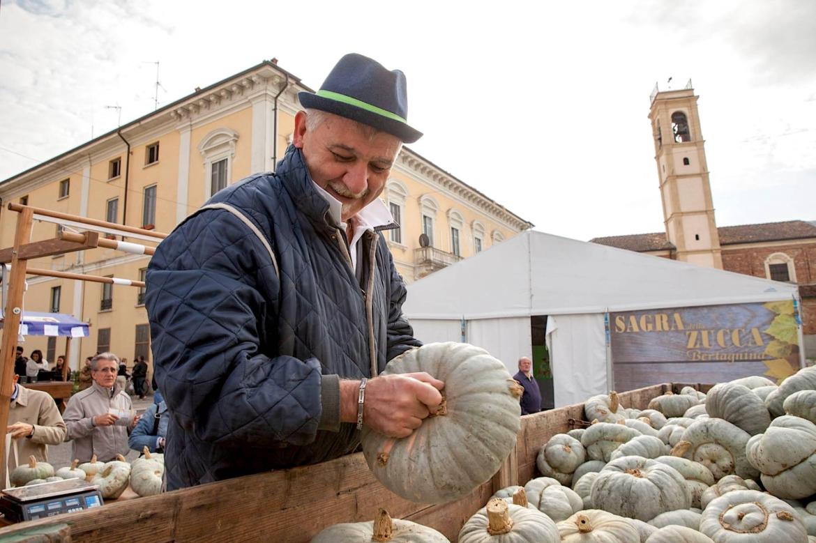 Ottobre, mese di zucche: la Bertagnina è la regina