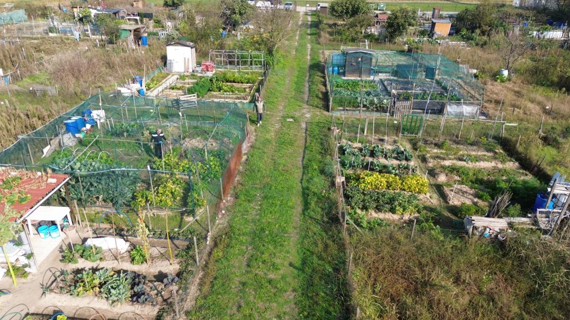 Orti urbani, via al nuovo bando per la riassegnazione dei lotti