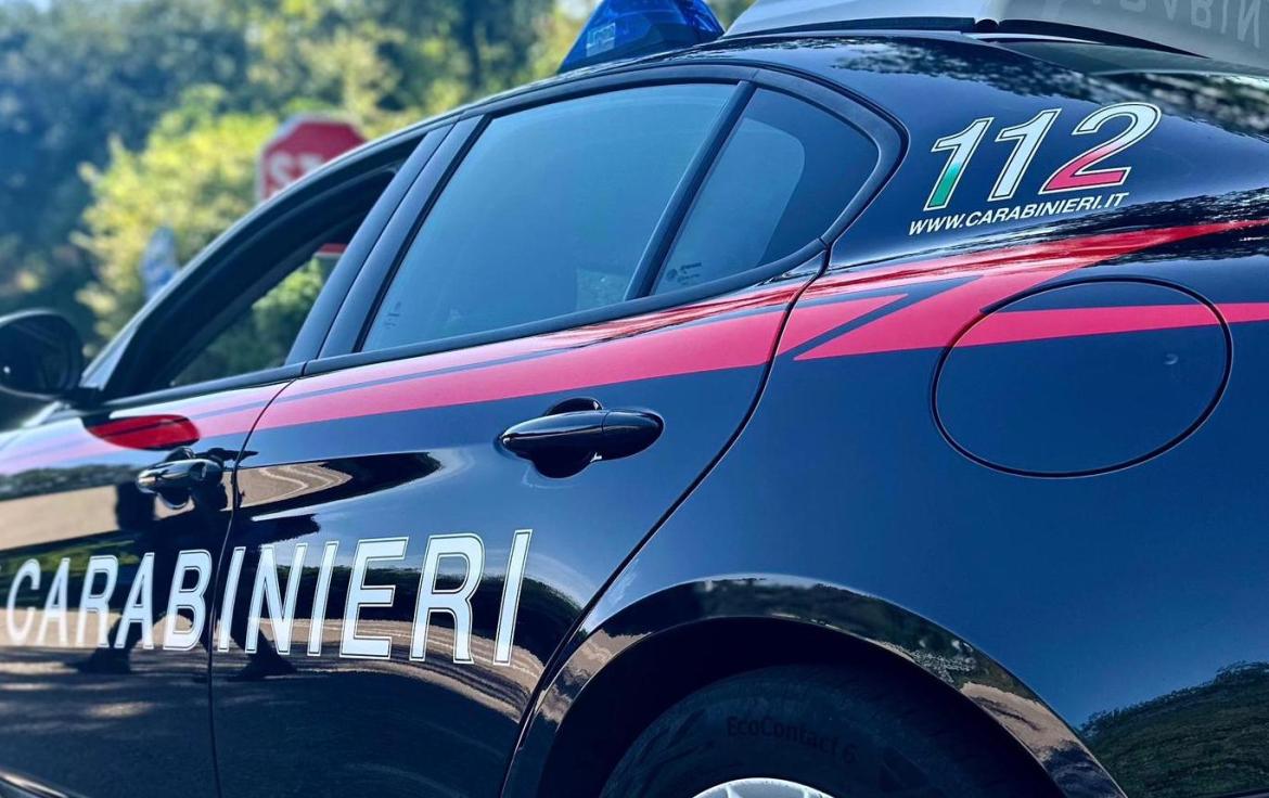 Vigevano, rientrano a casa e trovano la porta forzata: rubata una pelliccia