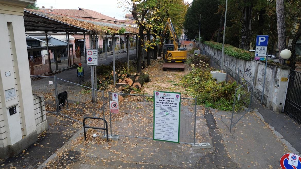 Mercato Coperto, iniziato l'abbattimento dei tigli