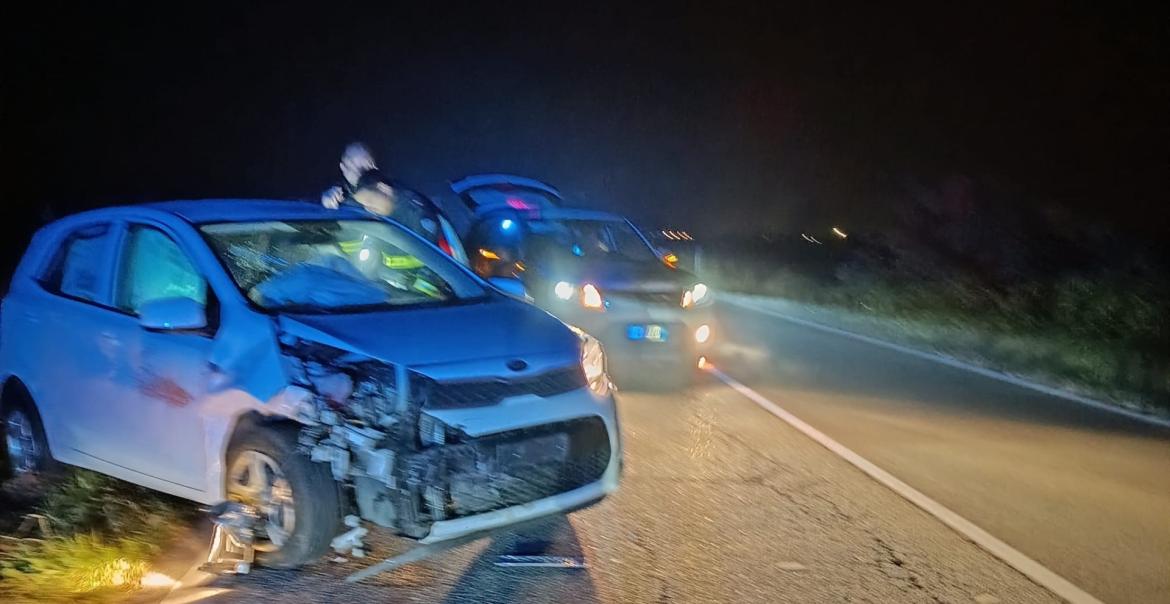 Auto travolge cinghiale, ferita donna di 27 anni