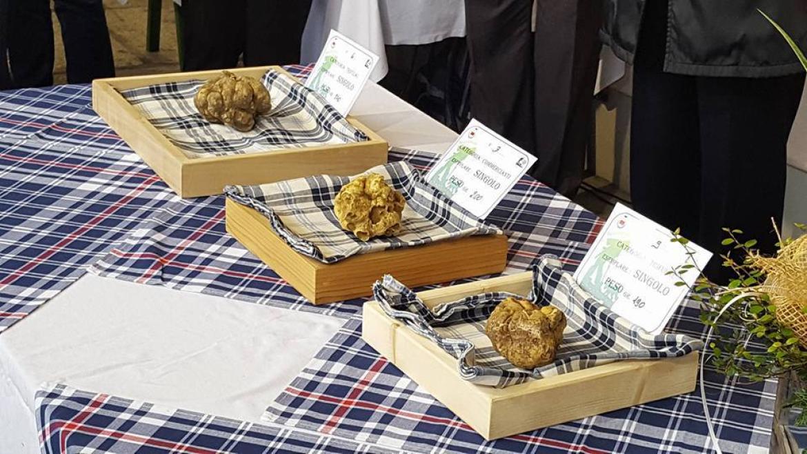 Moncalvo profuma di tartufo: torna la Fiera Nazionale