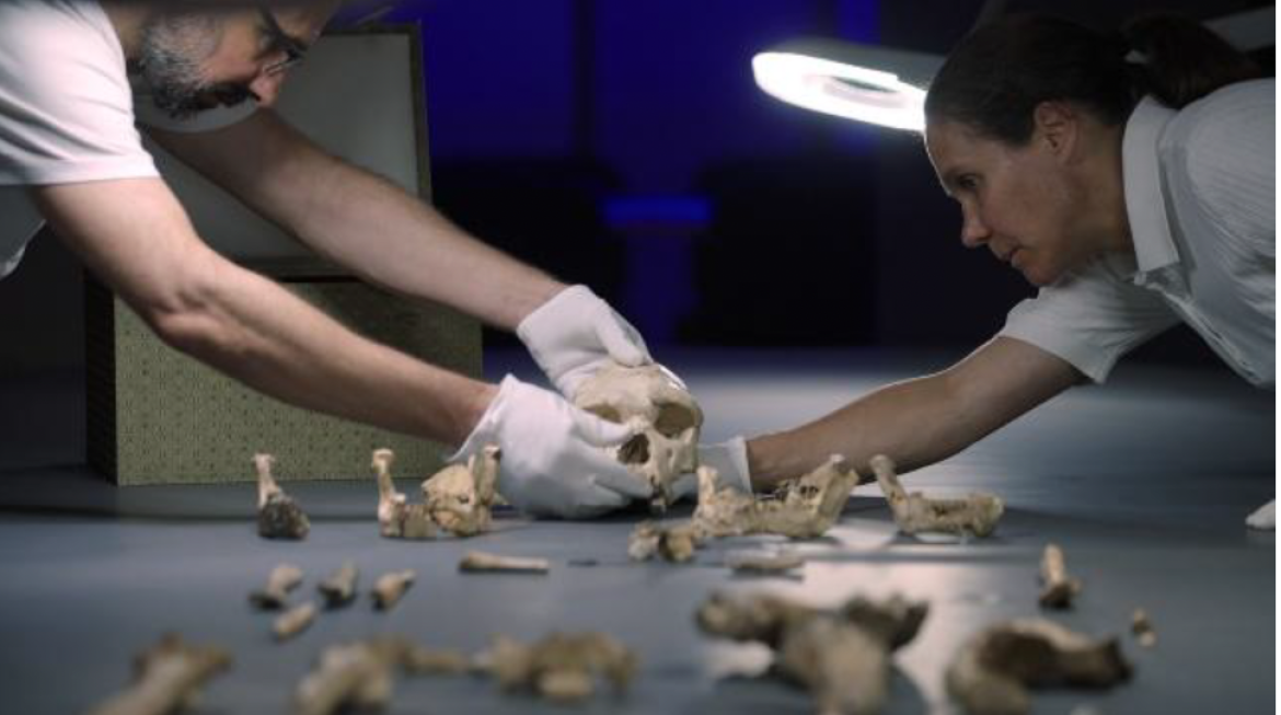 A Gambolò il cinema racconta l’archeologia del mondo