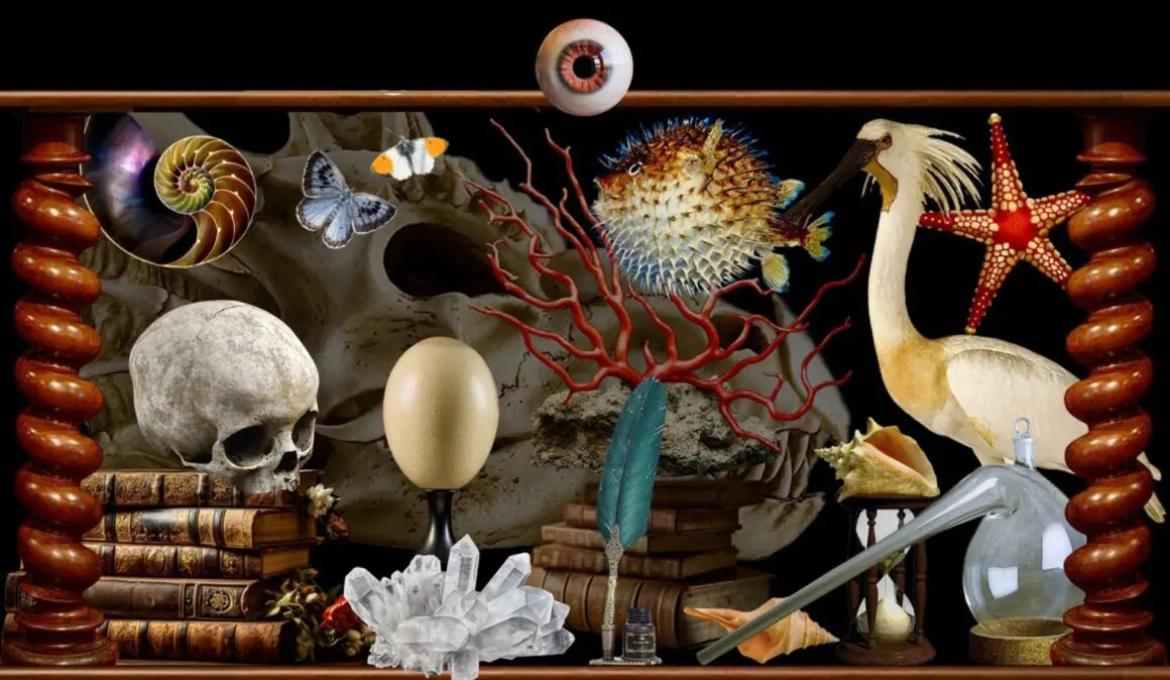 Un viaggio musicale nelle meraviglie del mondo