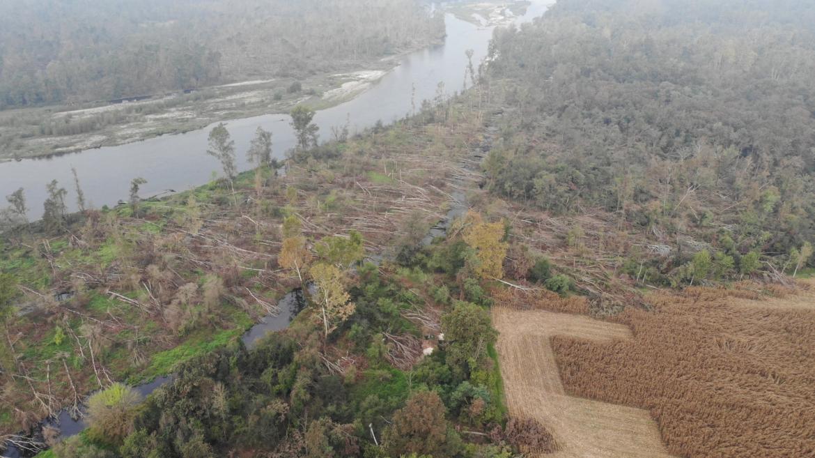 Il lungo cammino per ricostruire i boschi distrutti dalla tempesta