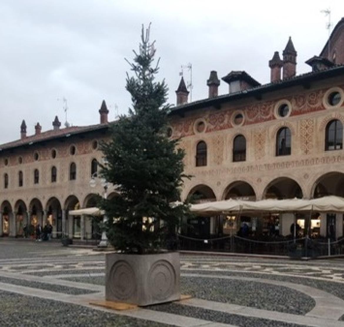 Vigevano, "alberello di Natale" in piazza Ducale per le feste? No, solo un errore di consegna