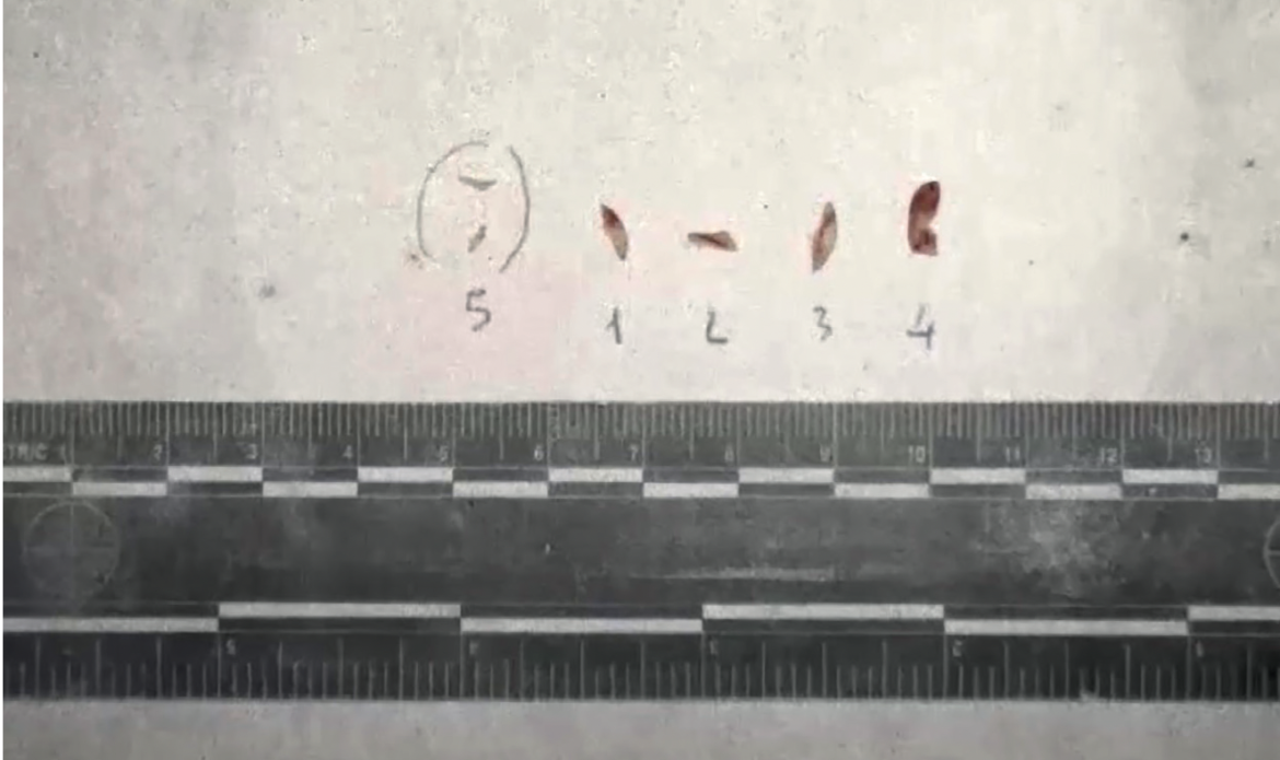Omicidio Chiara Poggi: dal Dna nessuna certezza granitica