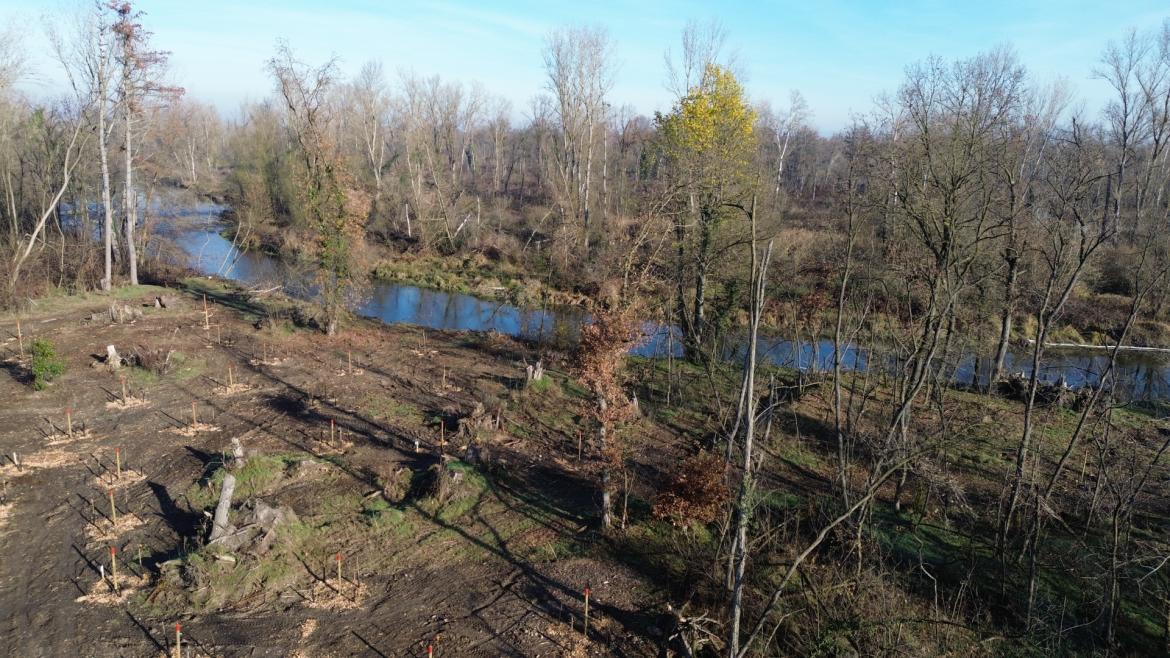 Boschi devastati? Il Parco adesso minaccia querele