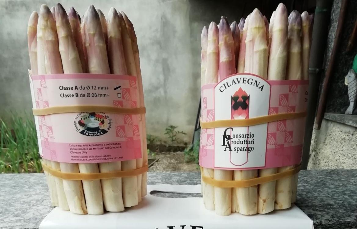 Sagra dell'asparago di Cilavegna, fondi dalla Regione. Pubblicato l&rsquo;avviso per affidare l&rsquo;organizzazione dell&rsquo;evento