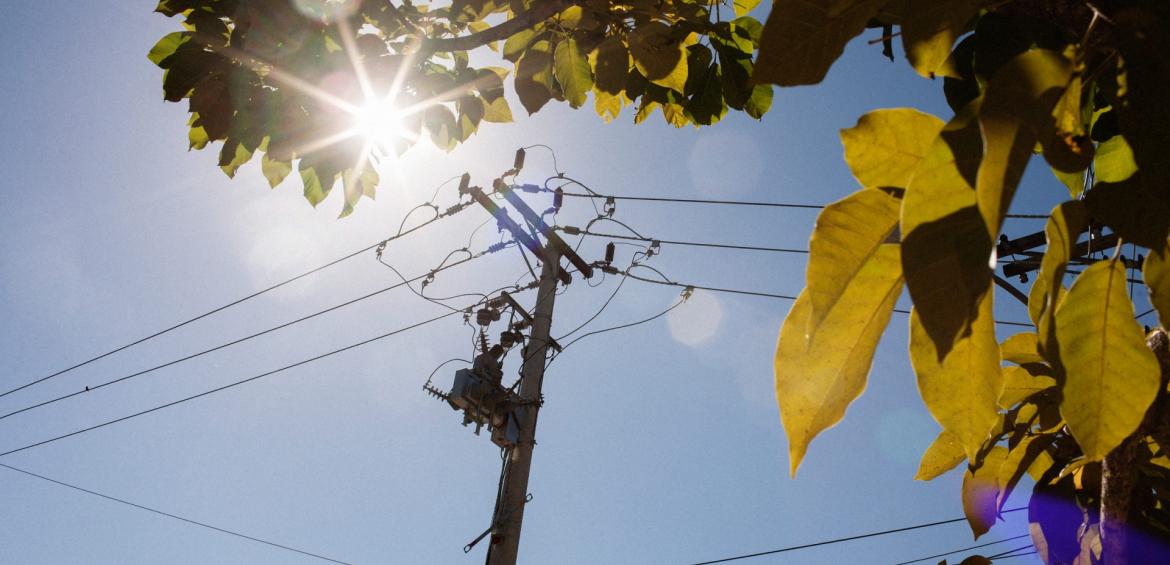 Smontano una linea elettrica in campagna per rubare il rame tra Valle e Candia