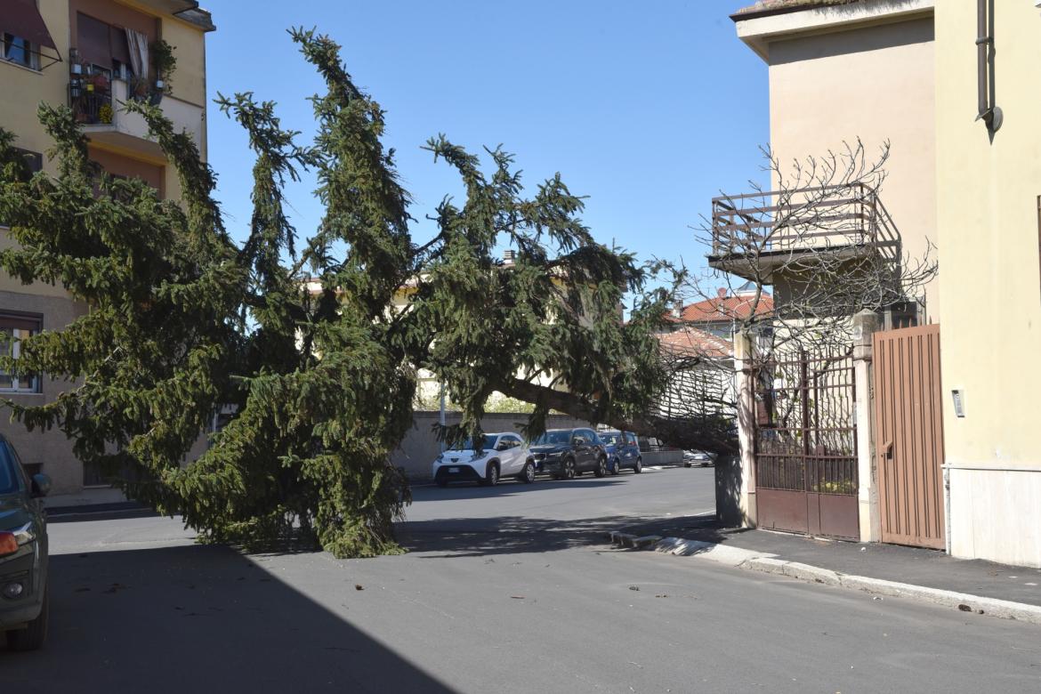 Lomellina: vento forte, alberi e tegole cadute. A Vigevano chiusi parchi e cimiteri in via precauzionale