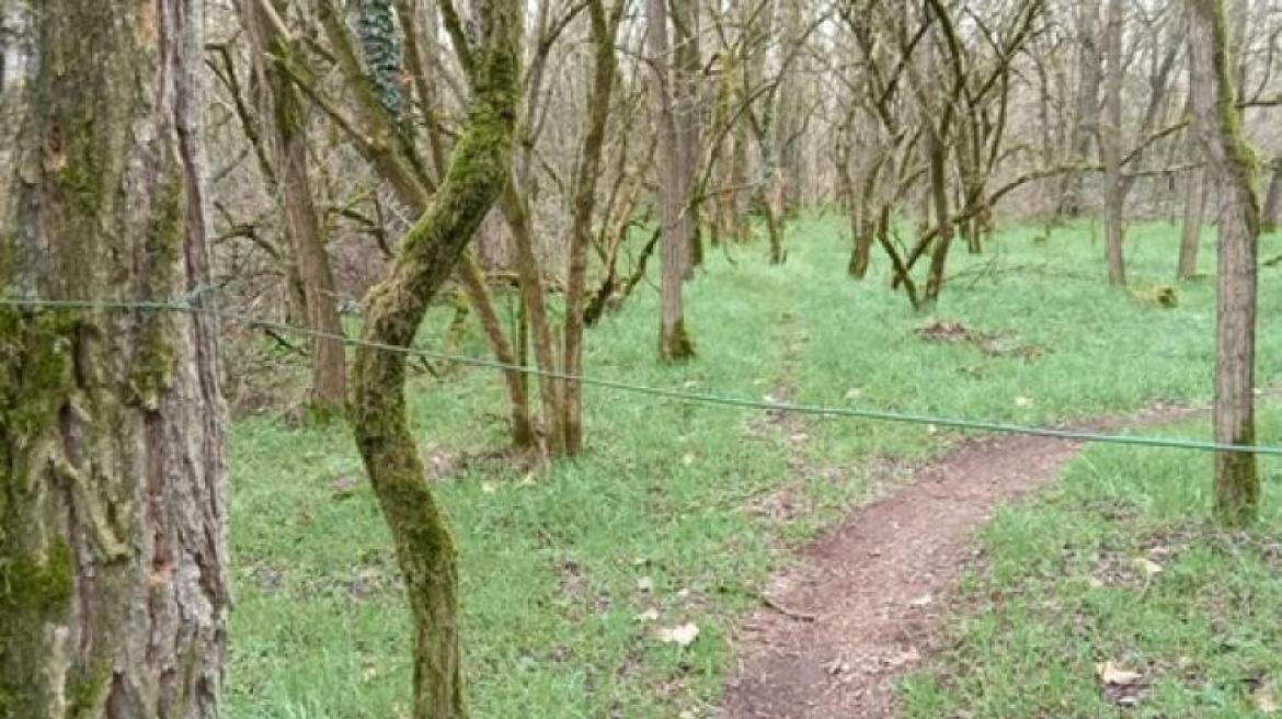 Garlasco: cavo tirato lungo la pista di mountain bike, la preoccupazione dei ciclisti