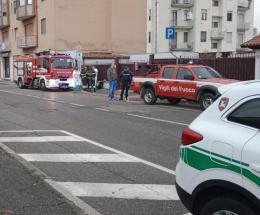 Mortara, quaranta cani in abitazione privata: scatta il sequestro