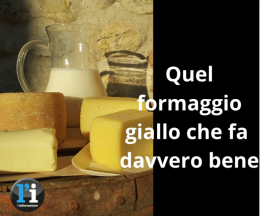 Il Parco del Ticino cerca caseifici per la produzione del formaggio giallo