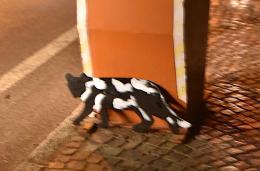 Il gatto nero del finto autovelox di Gravellona Lomellina ora è “pezzato”