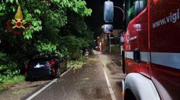 Forti temporali nella notte: alberi caduti a Pavia. Due interventi in Lomellina