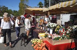 Fiera d’agosto, lunedì il tradizionale evento a Vigevano