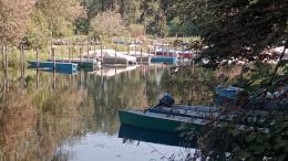 Prima tappa a Vigevano per due turisti tedeschi. Ma dopo un furto scappano a casa