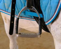 Sannazzaro, ferito al torace dal calcio di un cavallo: 38enne in ospedale