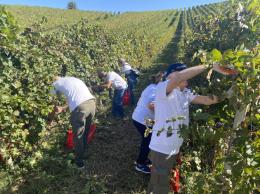 La vite per la vita, la vendemmia dei pazienti trapiantati del Policlinico