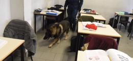 Due studenti del Caramuel trovati con l’hashish