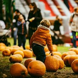 Al Villaggio delle Zucche la Magia di Halloween nel nome di Jack O’Lantern